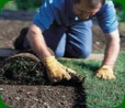 turfing services